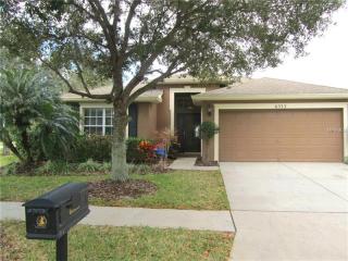 6533 Bridgecrest Dr, Lithia FL  33547-4864 exterior