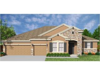 119 Rudy St, Auburndale, FL 33823-8713
