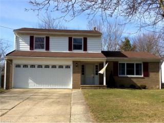 165 Roshon Dr, Medina, OH 44256-2017