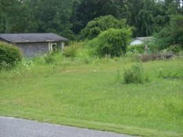 161 Pine Grove Rd, Smithville, TN 37166-7328