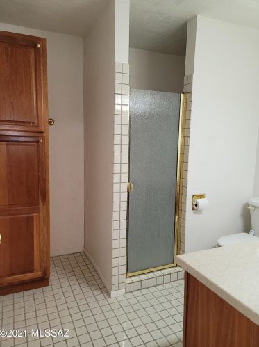 1125 Irene St, Sunizona AZ  85625-4066 exterior