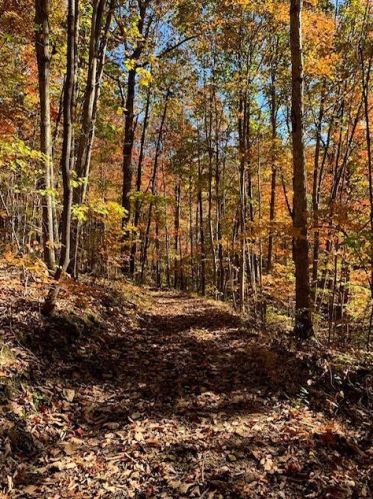 24480 Bushby Rd, Laurelville OH  43152-9712 exterior