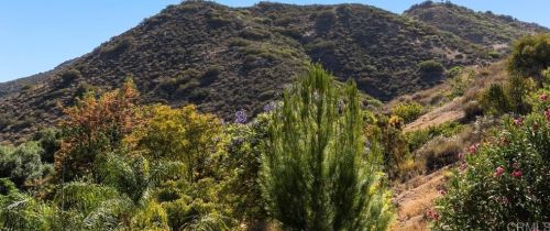 965 Harbison Canyon Rd, El Cajon, CA 92019-1418