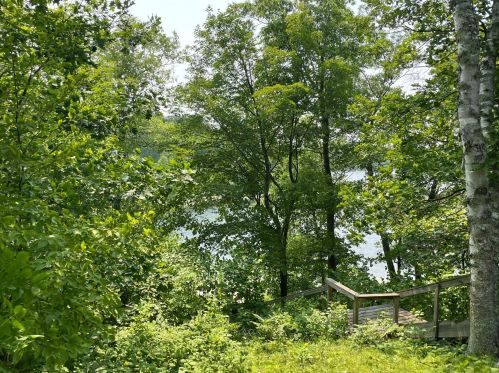4181 Stony Dr, Hackensack MN  56452-2091 exterior