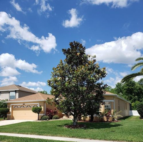 3369 Waterlute Way, Lakeland, FL 33811-3308