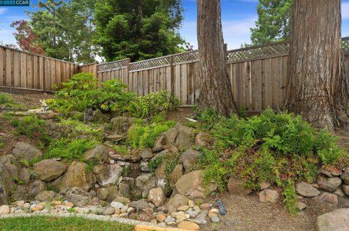 57 Longview Ct, Danville CA  94526-3609 exterior