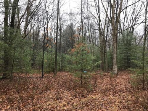 67 Crow Ln, Strattanville, PA 16258-4701