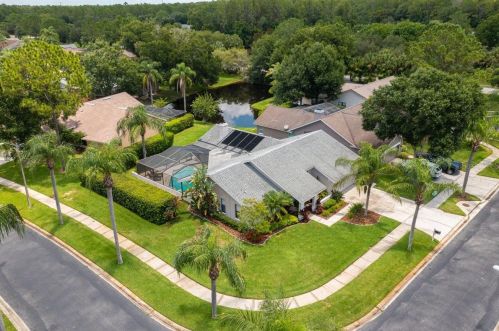 3117 Glenridge Dr, Palm Harbor, FL 34685-1724