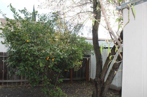 1830 Yosemite Ave, Manteca CA  95336-5009 exterior