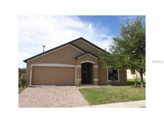217 Savannah Preserve Loop, Davenport, FL 33837-6503