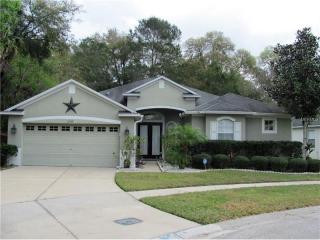 11502 Grove Arcade Dr, Riverview, FL 33569-5500