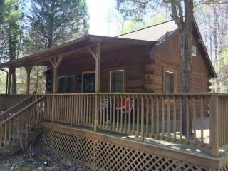3431 Cedar Gap Ln, Riceville, IN 47513-9377
