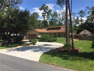 14420 Pinecone Rd, Orlando, FL 32832-6561