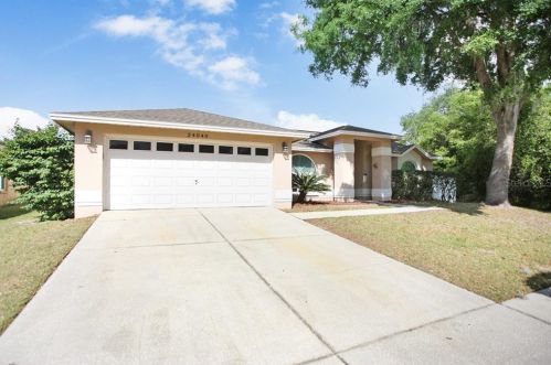 24040 Painter Dr, Land O Lakes, FL 34639-5430