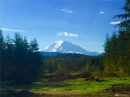 26901 162nd St, Buckley, WA 98321-9182