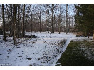 7695 Bellflower Rd, Concord Township, OH 44060-3950