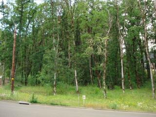 500 Melvill Cres, Philomath, OR 97370-9446