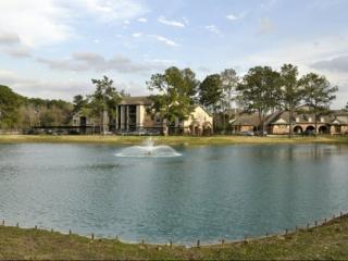 7215 Spring Cypress Rd, Spring TX  77379-3266 exterior