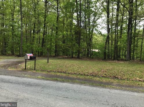 31606 Indiantown Rd, Locust Grove, VA 22508-2438