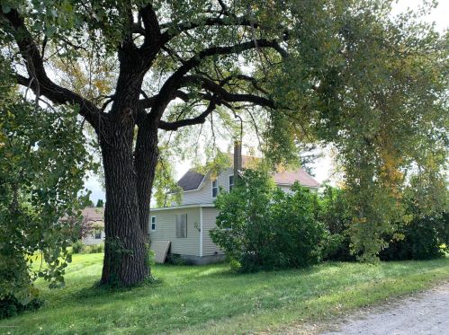 108 Washington Ave, Elizabeth, MN 56533-3367