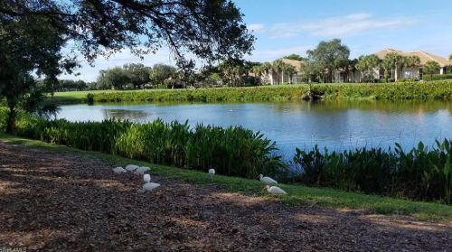 3421 Pointe Creek Ct, Bonita Springs FL  34134-2010 exterior