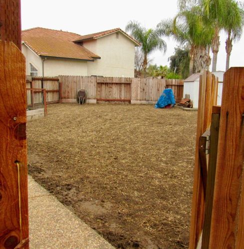 766 Amelia Ct, Los Banos CA 93635-2623 exterior