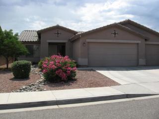 14815 Maui Ln, Sun City, AZ 85379-5420