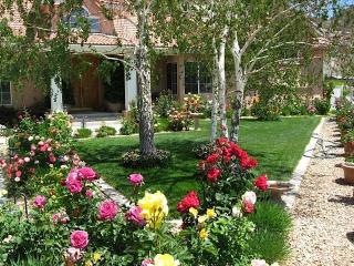 1901 Leandro Rd, Acton, CA 93510-1849