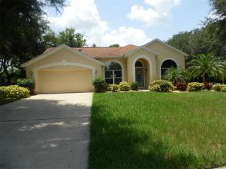 10146 Pointview Ct, Orlando, FL 32836-6334