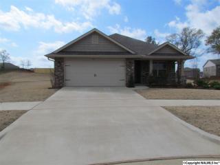 811 Riv Lndg Blvd, Madison AL  35756-5610 exterior