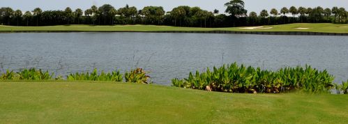 42 Northwoods Ln, Boynton Beach FL  33436-7405 exterior