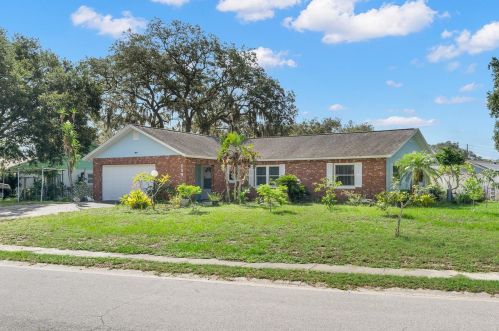 259 Dunbridge Dr, Palm Harbor, FL 34684-3704