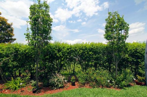 10208 Dory Dr, Oxford FL  34484-3741 exterior