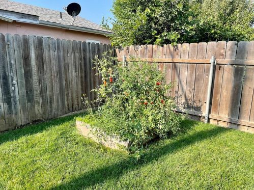 921 Hutchins St, Lodi CA  95240-5242 exterior
