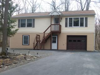 180 Cottonwood Dr, Hawley, PA 18428-4003