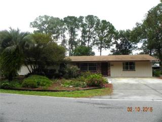 106 Nelson St, Tavares, FL 32778-2483