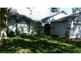 2011 Branch Tree Ln, Brandon, FL 33511-8357