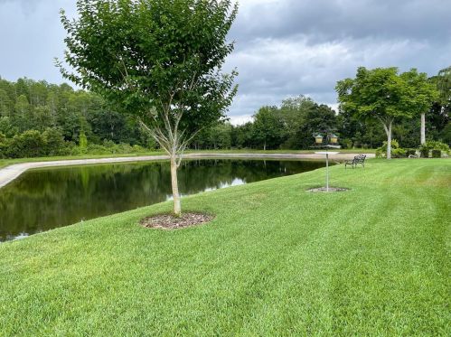 3320 Sheehan Dr, Land O Lakes, FL 34638-8036