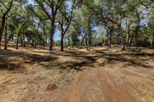 14804 Oak Ridge Rd, Lake Wildwood CA  exterior