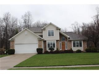 3690 Turnberry Dr, Medina, OH 44256-6827