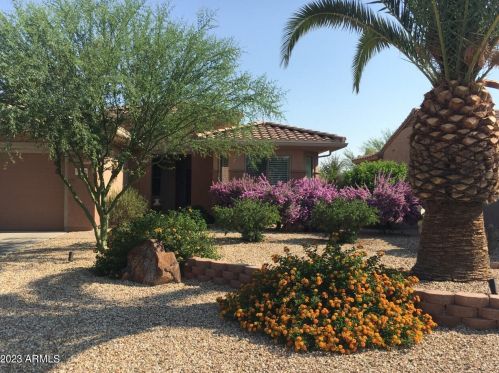17182 Nelson Dr, Sun City, AZ 85387-7283