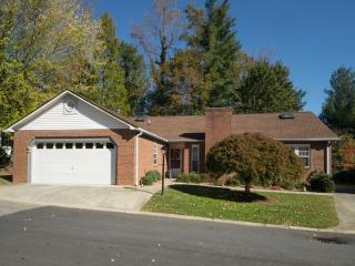 217 Hampton Ct, Hendersonville, NC 28791-3205