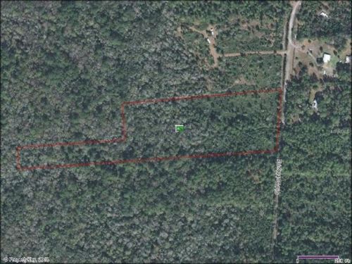 740 Old Bubbly Rd, Pierson, FL 32180-0042