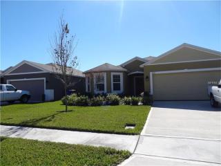 4985 Grassy Knoll Dr, Tavares, FL 32778-6216