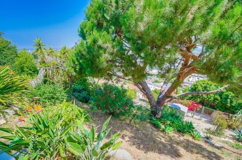 4225 Paseo De Las Tortugas, Torrance CA 90505-6341 exterior