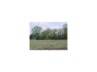 17555 Whitney Rd, Montville, OH 44064-9718