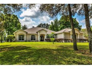 25505 Rolling Oak Rd, Mount Plymouth, FL 32776-9289