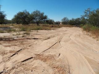 8168 Cover View Rd, Tucson, AZ 85736-2804