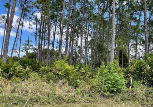 37 Beaverdam Ln, Palm Coast, FL 32137-8640