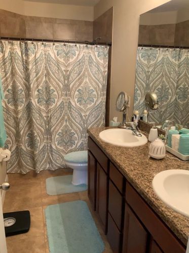 10424 Yellow Spice Ct, Riverview FL  33568 exterior